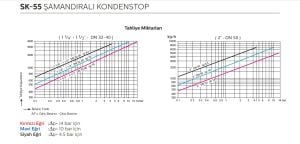 Şamandıralı Kondenstop / termostatik Hava Tahliyeli FLANŞLI SK-55 DN40