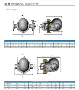 Şamandıralı Kondenstop / termostatik Hava Tahliyeli FLANŞLI SK-55 DN40