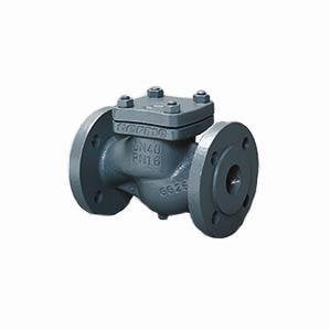 Termo Çekvalf Flanşlı DN65