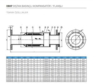 Ayvaz Dıştan Basınçlı Kompansatör / Flanşlı (30mm Genleşmeli -20+10) DN50