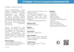 Ayvaz Titreşim Yutucu Kauçuk Kompansatör DN50