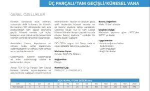 Ayvaz Küresel Vana / Tam Geçişli / Üç Parçalı DN125