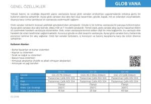Ayvaz Baskılı Glob Vana GV-40 DN100