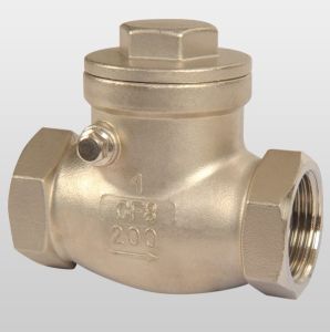 Ayvaz Çalpara Çekvalf Paslanmaz AISI304 3/4''
