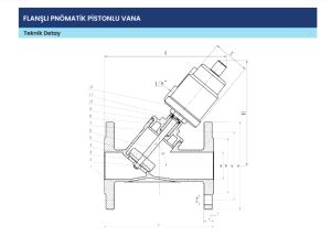 DN50 PN16 PNÖMATİK PİSTONLU  VANA FLANŞLI