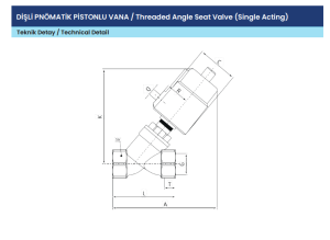 DN25 PN16 PNÖMATİK PİSTONLU VANA DİŞLİ