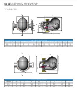 Şamandıralı Kondenstop / Termostatik Hava Tahliyeli DİŞLi SK-55 11/2''