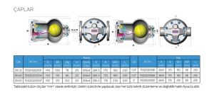 Şamandıralı Kondenstop / Termostatik Hava Tahliyeli DİŞLi SK-55 11/2''