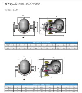 Şamandıralı Kondenstop / Termostatik Hava Tahliyeli DİŞLi SK-55 11/4''