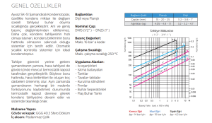 Şamandıralı Kondenstop / Termostatik Hava Tahliyeli SK-51 Flanşlı DN20