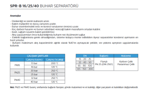 DN65 PN16 BUHAR SEPERATÖRÜ SPR-16
