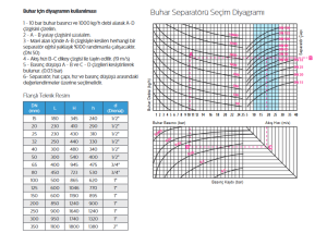 DN100 PN16 BUHAR SEPERATÖRÜ SPR-16