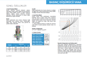 1'' BDV-25 BASINÇ DÜŞÜRÜCÜ