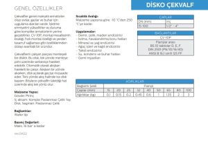 Ayvaz Disco Çekvalf Pirinç DN50
