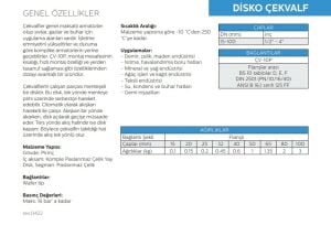 Ayvaz Disco Çekvalf Pirinç DN20