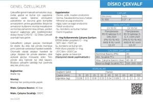Ayvaz Çekvalf Disco Paslanmaz ÇV-10S1 DN40