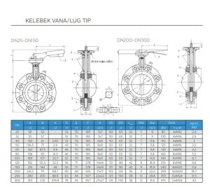 Ayvaz Kelebek Vana Lug Tip Paslanmaz Klapeli KV-4 (DN25-DN300)