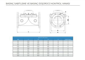 BASINÇ DÜŞÜRÜCÜ KONTROL VANASI DN100