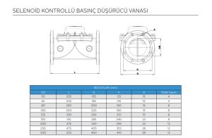 SELENOİD KONTROLLÜ BASINÇ DÜŞÜRÜCÜ VANASI DN50