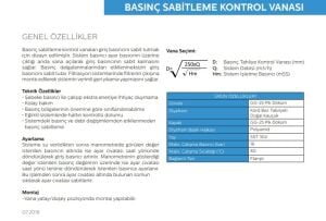 BASINÇ SABİTLEME KONTROL VANASI DN50