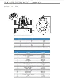 TK-1 BİMETALİK KONDESTOP / TERMOSTATİK FLANŞLI DN25