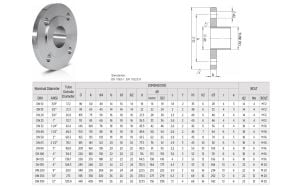DN80  PN16  PASLANMAZ AISI304 DÜZ FLANŞ