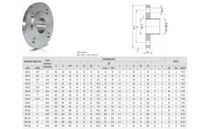DN150  PN16  PASLANMAZ AISI304 DÜZ FLANŞ